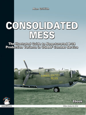 cover image of Consolidated Mess